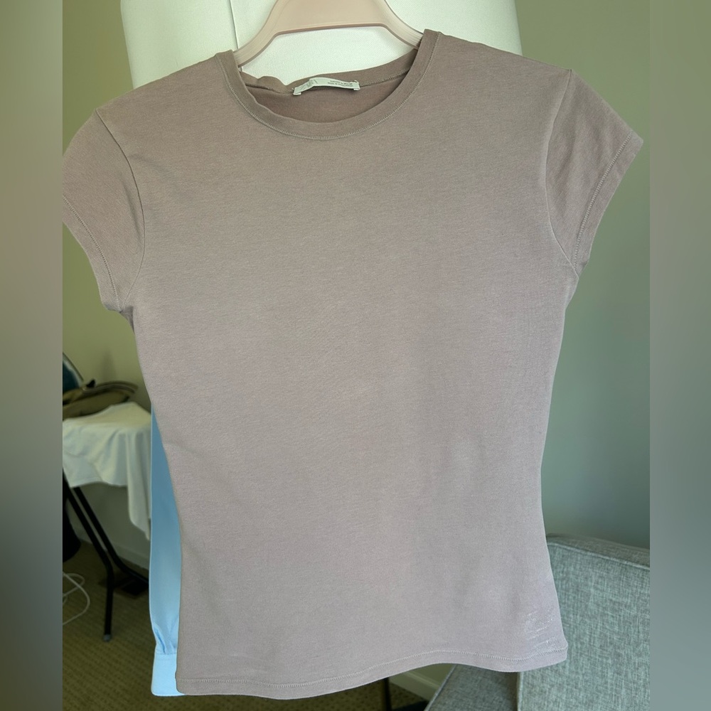 Zara Women's Taupe Short Sleeve Tee